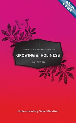Christian's Pocket Guide To Growing In Holiness, A (Paperback)