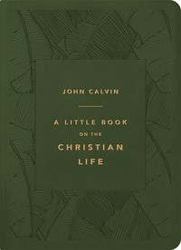 Little Book On The Christian Life, A (Imitation Leather)