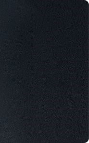 ESV Thinline Reference Bible (Black) (Imitation Leather)