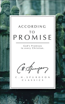 According To Promise (Paperback)