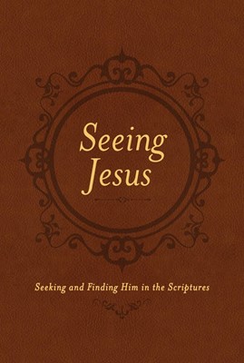 Seeing Jesus (Imitation Leather)