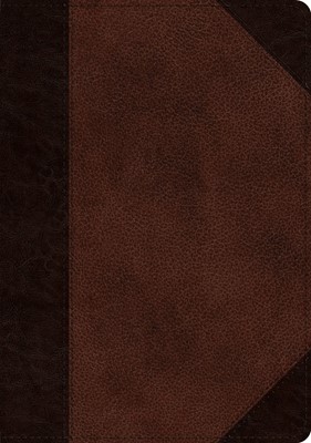 ESV Single Column Journaling Bible, Large Print (Imitation Leather)