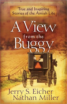 A View From The Buggy (Paperback)