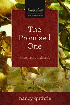 The Promised One 10-Pack (Paperback)