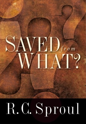 Saved From What? (Paperback)