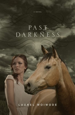 Past Darkness (Paperback)