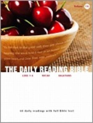 The Daily Reading Bible Volume 14 (Paperback)