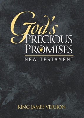 KJV God's Precious Promises New Testament (Paperback)