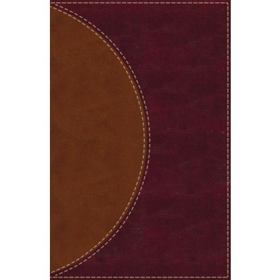 Amplified Reading Bible, Leathersoft, Brown (Imitation Leather)