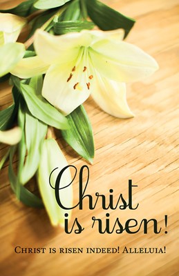 Christ Is Risen! Easter Lilies Bulletin (Pkg of 50) (Bulletin)