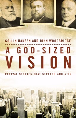 God-Sized Vision, A (Paperback)