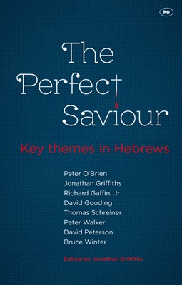 The Perfect Saviour (Paperback)
