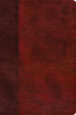 ESV Study Bible, Personal Size, TruTone, Burgundy/Red (Imitation Leather)
