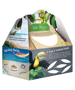 VBS Shipwrecked Paper Boxes (Pack of 10) (General Merchandise)