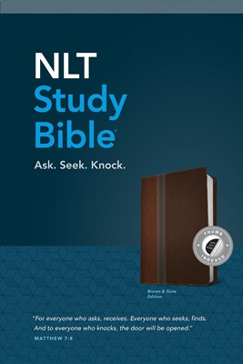 NLT Study Bible, Brown Slate, Indexed (Imitation Leather)
