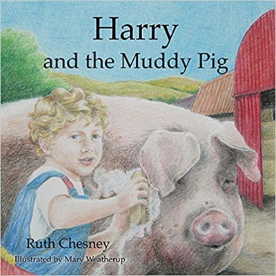Harry And The Muddy Pig (Paperback)