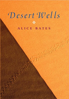 Desert Wells (Paperback)
