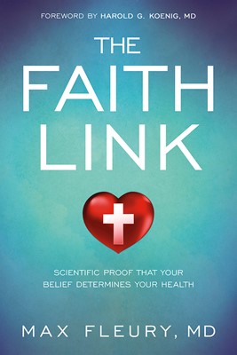 The Faith Link (Paperback)