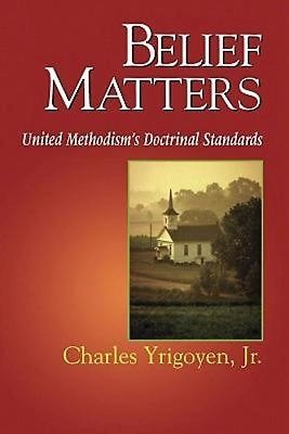 Belief Matters (Paperback)