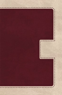 KJV Ultraslim Bible (Imitation Leather)