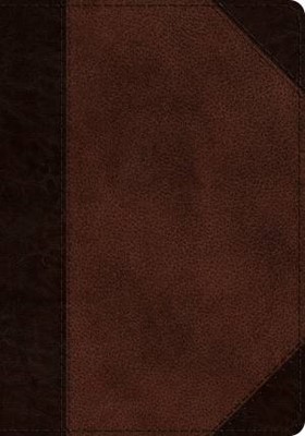 ESV Journaling Psalter, Brown/Walnut, Portfolio Design (Imitation Leather)