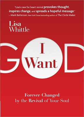 I Want God (Paperback)