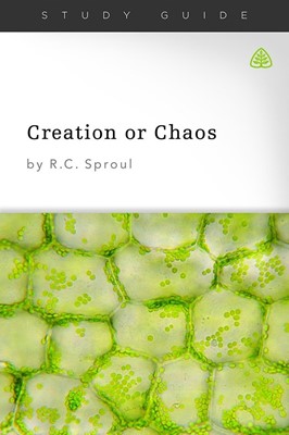 Creation or Chaos (Paperback)
