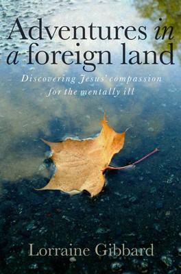 Adventures In A Foreign Land (Paperback)