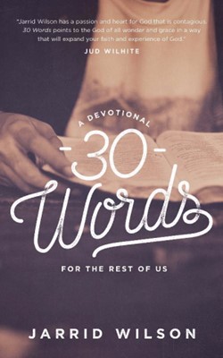 30 Words (Paperback)