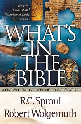 What's in the Bible (Paperback)