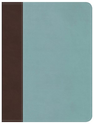 HCSB Life Essentials Study Bible, Brown / Blue  Indexed (Imitation Leather)