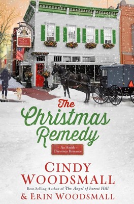 The Christmas Remedy (Hard Cover)