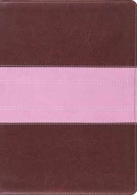 ESV Study Bible Trutone, Chocolate/Rose, Trail Design (Imitation Leather)