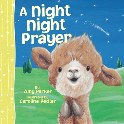 A Night Night Prayer (Board Book)