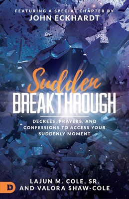 Sudden Breakthrough (Paperback)