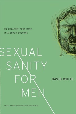 Sexual Sanity For Men (Paperback)