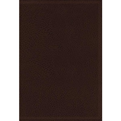 NKJV The Vines Expository Bible, Brown (Imitation Leather)