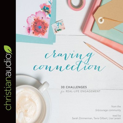 Craving Connection Audio Book (CD-Audio)