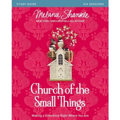 Church Of The Small Things Study Guide (Paperback)