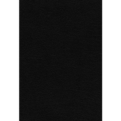 NKJV The Vines Expository Bible, Black (Bonded Leather)
