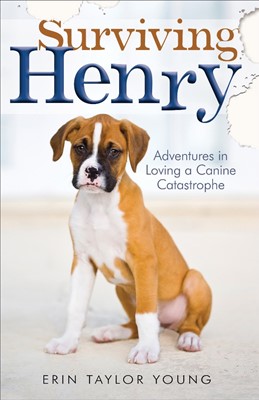 Surviving Henry (Paperback)