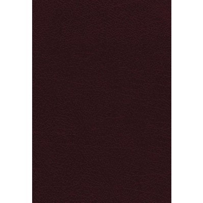 NKJV The Vines Expository Bible, Burgundy (Bonded Leather)