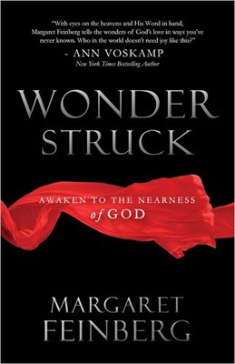 Wonderstruck (Paperback)