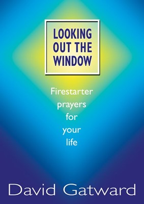 Looking Out The Window (Paperback)