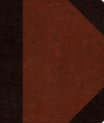 ESV Journaling Bible, Brown/Cordovan, Portfolio Design (Imitation Leather)