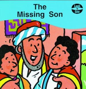 The Missing Son (Paperback)
