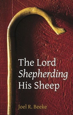 The Lord Shepherding His Sheep (Paperback)