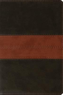 ESV Personal Reference Bible TruTone, Deep Brown/Tan (Imitation Leather)