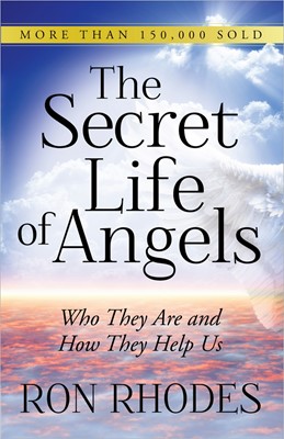 The Secret Life Of Angels (Paperback)