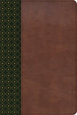 RVR 1960 Biblia de Estudio Scofield, verde oscuro/castaño sí (Imitation Leather)